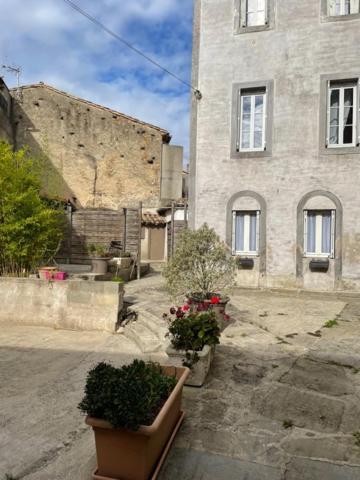 Apartament Le Patio Cathare Carcassonne Zewnętrze zdjęcie