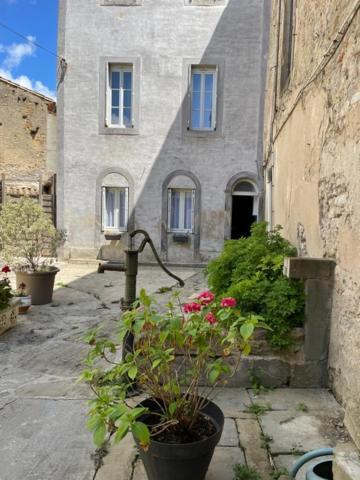 Apartament Le Patio Cathare Carcassonne Zewnętrze zdjęcie