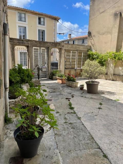 Apartament Le Patio Cathare Carcassonne Zewnętrze zdjęcie