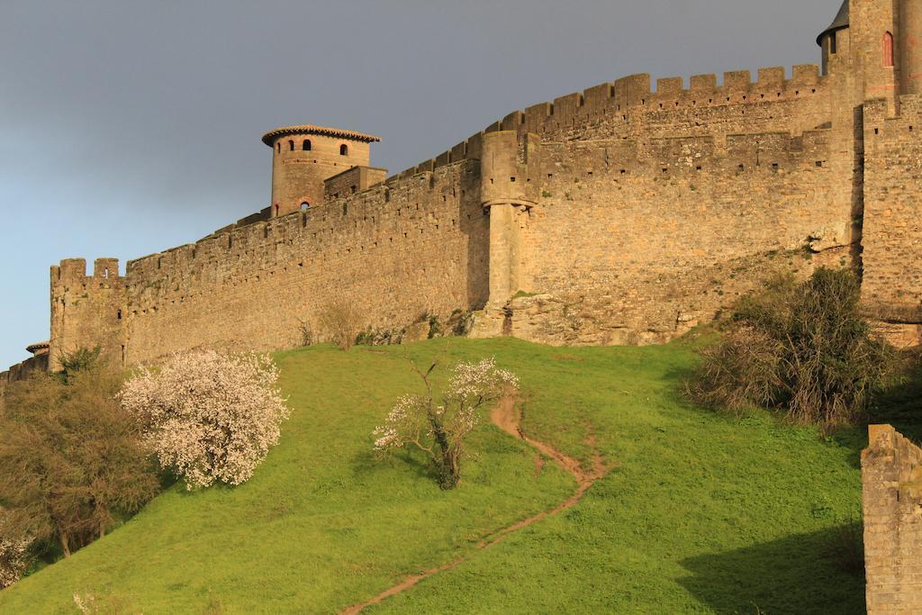 Apartament Le Patio Cathare Carcassonne Zewnętrze zdjęcie